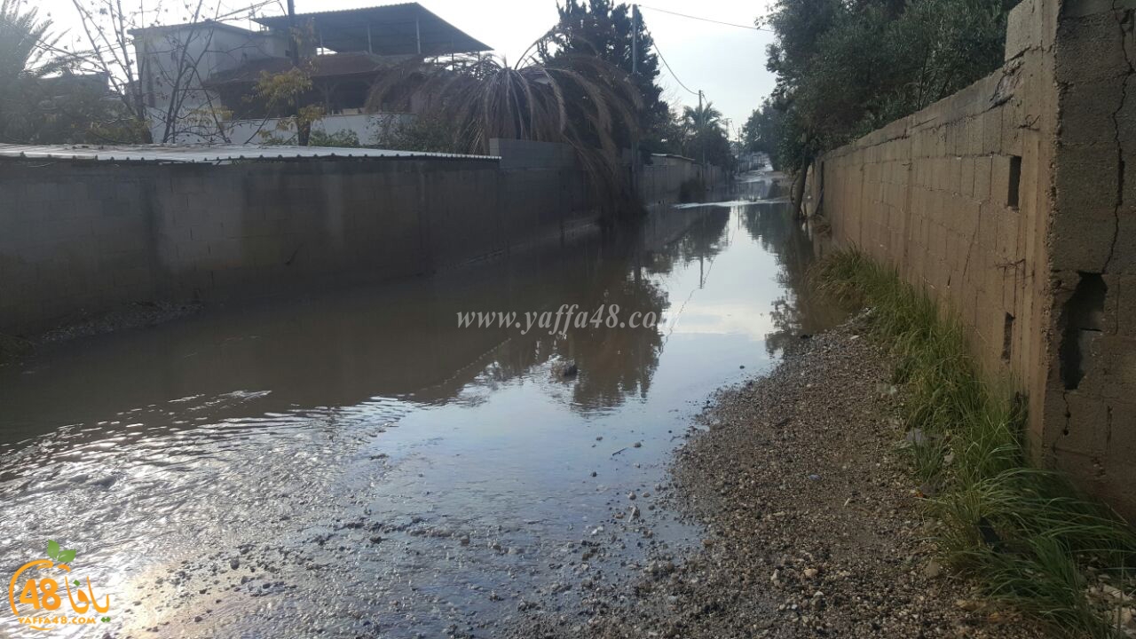 dhamasha ja3 (3).jpg